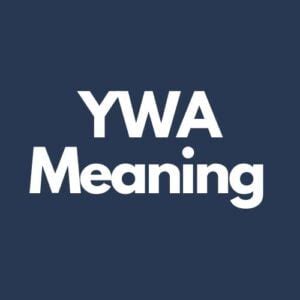 ywa means|What Does YWA Mean in Texting (With Examples)